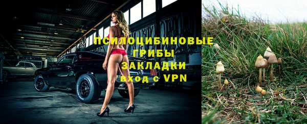 бошки Сатка