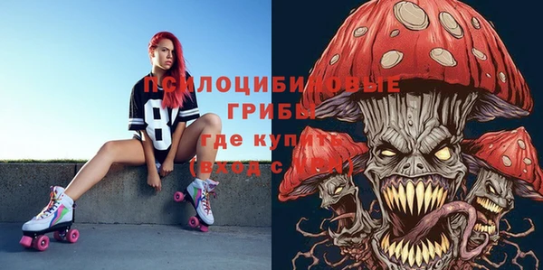 молекула духа Сафоново