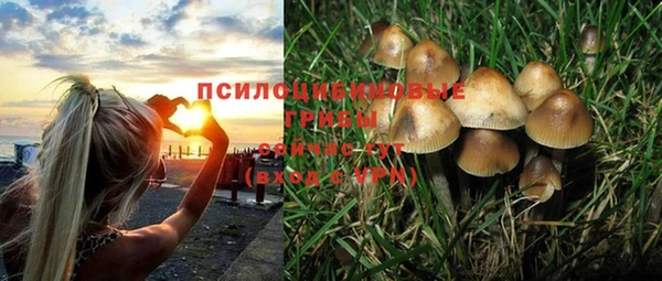бошки Сатка
