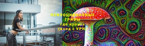 дурь Саяногорск