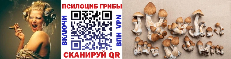 Галлюциногенные грибы Magic Shrooms KRAKEN Володарск